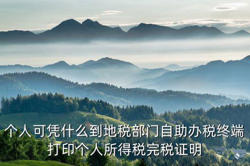 稅務(wù)局自助辦稅服務(wù)終端是什么，自助辦稅終端 報(bào)稅