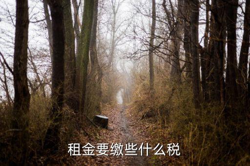 承租者租金交什么稅，租金要繳些什么稅
