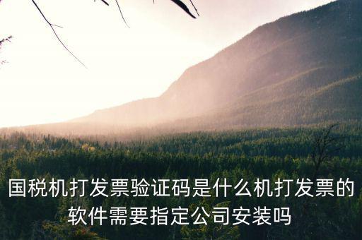 北京國(guó)稅電子發(fā)票驗(yàn)證密碼是什么，國(guó)稅局發(fā)票軟件里用戶代碼和密碼是什么