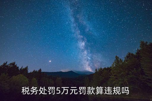 稅務(wù)重大違規(guī)是指什么，登錄國(guó)稅國(guó)稅的違章信息是什么意思