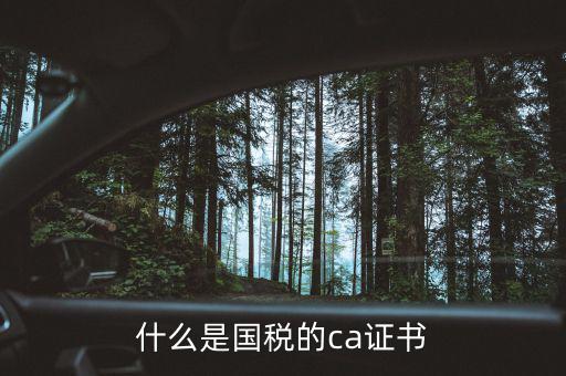 ca稅務數(shù)字證書是什么，什么是國稅的ca證書