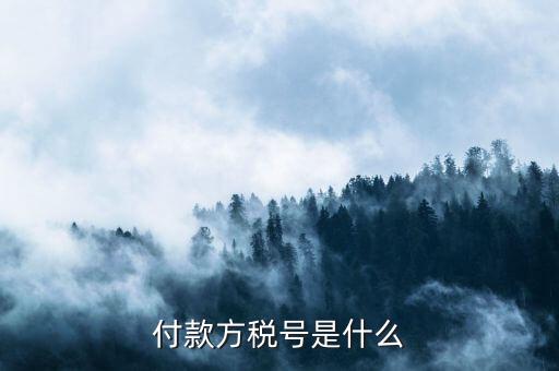 付款人稅號是什么，轉(zhuǎn)賬稅號指的是什么