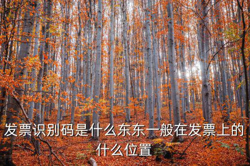 河北發(fā)票識別碼是什么意思，發(fā)票的識別碼是不是繳稅單位的稅號