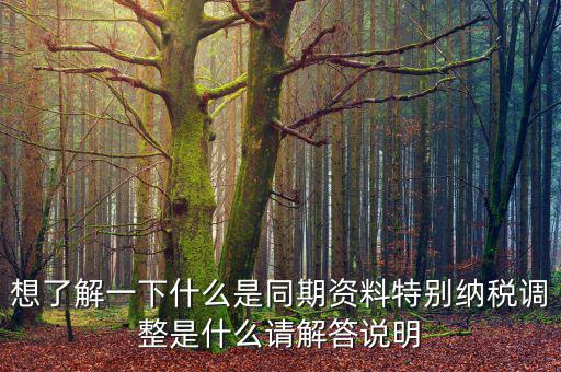 關(guān)聯(lián)申報(bào)同期資料是什么，想了解一下什么是同期資料特別納稅調(diào)整是什么請(qǐng)解答說(shuō)明