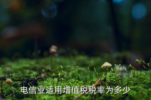 電信服務(wù)什么時(shí)候繳納增值稅，電信業(yè)適用增值稅稅率為多少