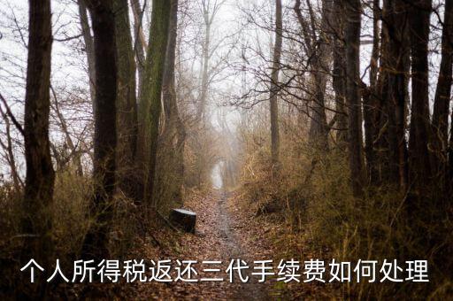 地稅局的退付三代手續(xù)費是什么意思，三代手續(xù)費返還該計入什么科目