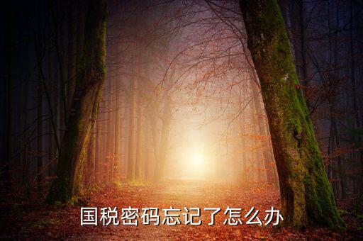 國(guó)稅局重置密碼需要帶什么資料，國(guó)稅修改過(guò)登錄密碼 又忘記了怎么辦