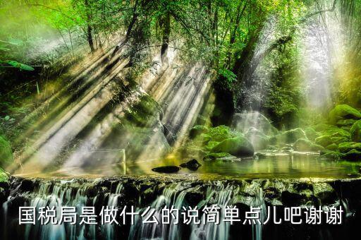 什么是國際稅務(wù)局，國際稅務(wù)是什么