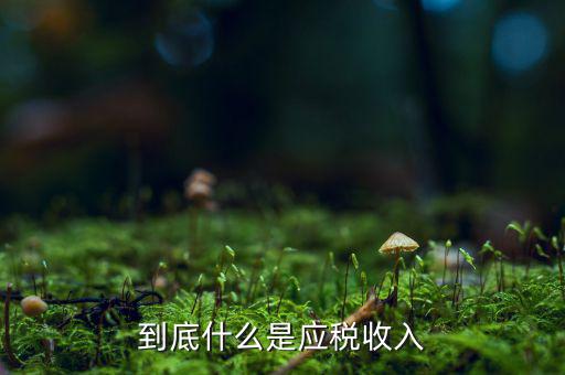 應(yīng)稅銷(xiāo)售收入是什么意思，應(yīng)稅銷(xiāo)售額是什么意思