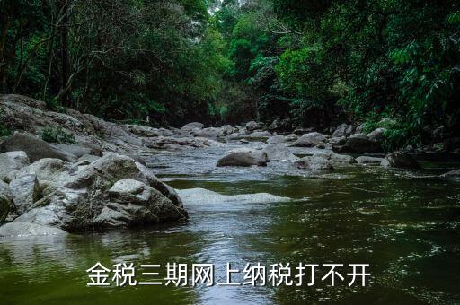 金稅門戶為什么打不開，金稅三期網(wǎng)上納稅打不開