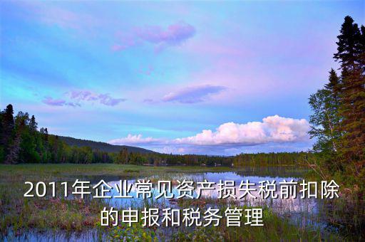 什么是資產(chǎn)損失屬于清單申報，資產(chǎn)損失稅前扣除什么是清單申報專項申報