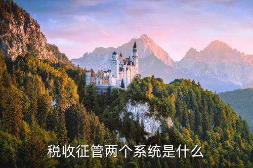 稅務(wù)什么叫核心征管系統(tǒng)，稅收征管兩個(gè)系統(tǒng)是什么