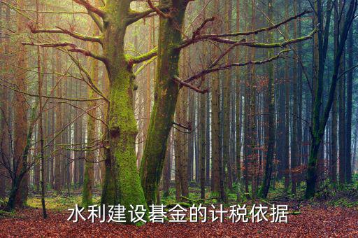 西安水利基金的計稅依據是什么，水利建設碁金的計稅依據