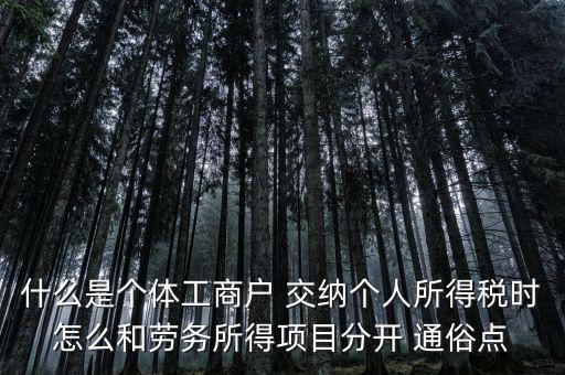 什么叫個(gè)體工商戶經(jīng)營(yíng)所得，個(gè)體工商戶的生產(chǎn)經(jīng)營(yíng)所得是指什么