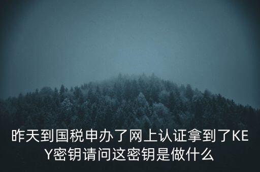 稅務(wù)認(rèn)證密碼是什么，昨天到國(guó)稅申辦了網(wǎng)上認(rèn)證拿到了KEY密鑰請(qǐng)問這密鑰是做什么