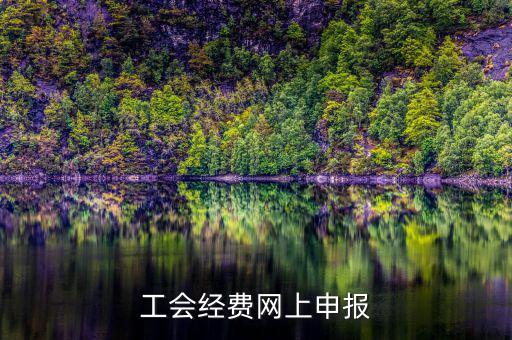 工會經費在什么地方申報，有關工會經費申報的問題