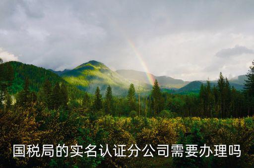 四川國稅局實名認證需要什么手續(xù)，在國稅局辦理法人實名制認證要帶什么材料