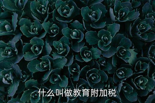 教育附加什么意思，教育費(fèi)附加代表什么意思