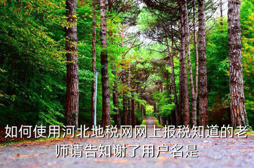 河北省地稅登陸的用戶名是什么意思，在網(wǎng)上報稅登陸時用戶名是什么