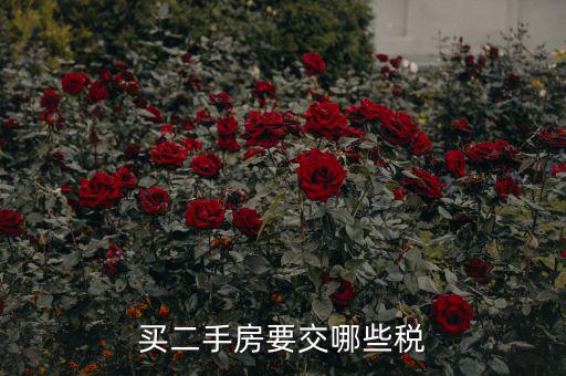 買(mǎi)二手公建房交什么稅，買(mǎi)二手房要交哪些稅