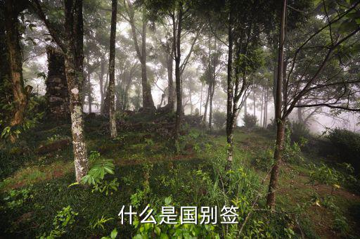 什么是國(guó)別報(bào)送條件，國(guó)別是什么意思