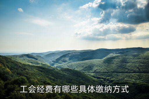 工會經費按什么來預繳，請問工會經費怎么繳納