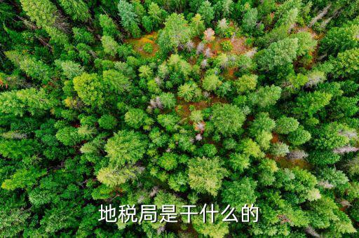 地稅主要負(fù)責(zé)什么工作總結(jié)，地稅局一般做什么工作啊