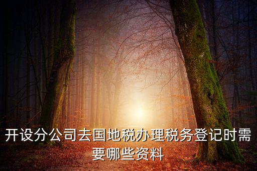 分公司地稅辦理需要什么材料，辦理分公司的稅務(wù)登記證需要準備哪些資料