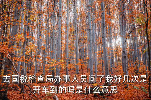 國稅說需要運維是什么意思，什么條件需要辦理國稅我是一個月收入2千左右的維修小檔口也要輸