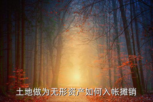 土地如何攤銷，土地做為無形資產(chǎn)如何入帳攤銷