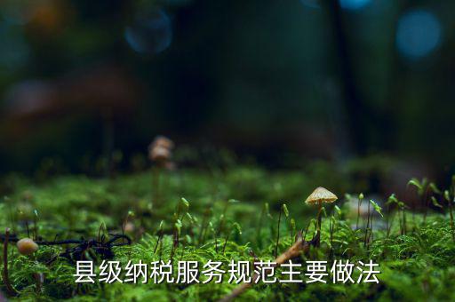 如何納稅的便民措施，如何提高納稅人滿意度 中國稅務(wù)報(bào)