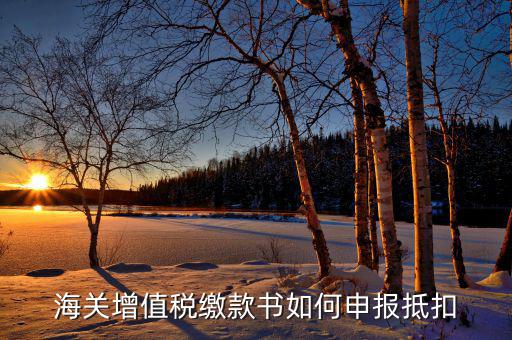 海關增值稅如何抵扣，海關增值稅繳款書如何申報抵扣