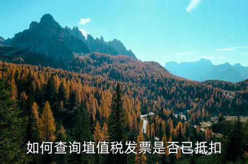如何查詢已抵扣發(fā)票嗎，怎么查詢開出的發(fā)票有沒有被抵扣