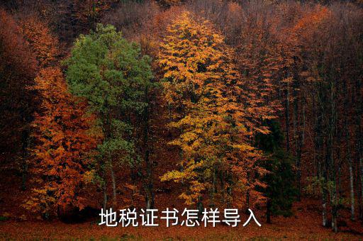 如何安裝深圳地稅證書，地稅證書怎樣導入
