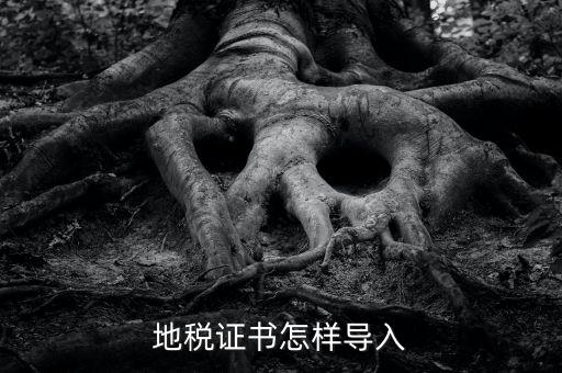 如何導入地稅證書，地稅證書怎樣導入