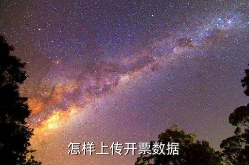 如何上傳進(jìn)項(xiàng)發(fā)票明細(xì)，怎樣上傳開(kāi)票數(shù)據(jù)