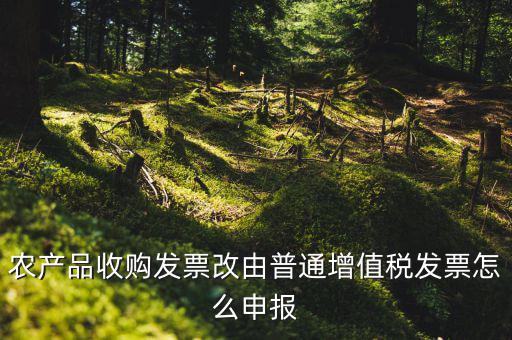 農(nóng)產(chǎn)品收購(gòu)發(fā)票如何申報(bào)，農(nóng)產(chǎn)品收購(gòu)發(fā)票如何開(kāi)