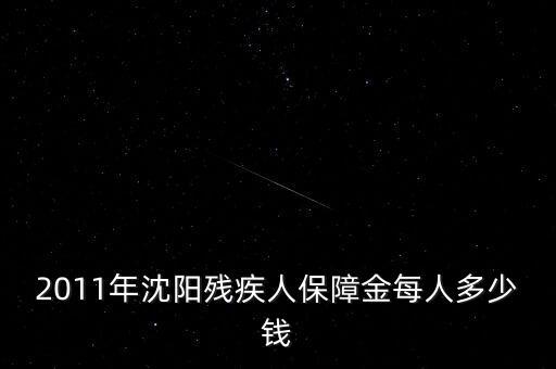 沈陽市殘疾人保障金如何計(jì)算，2011年沈陽殘疾人保障金每人多少錢