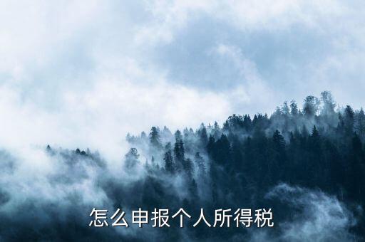 如何申報個人所得稅，怎么申報個人所得稅