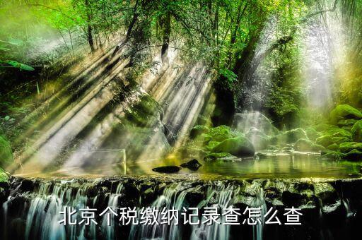 北京如何查詢個人繳稅記錄，北京個稅繳納記錄查怎么查
