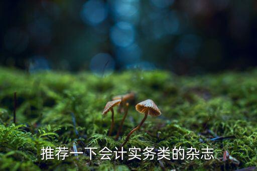 納稅這個(gè)期刊如何，推薦一下會(huì)計(jì)實(shí)務(wù)類的雜志