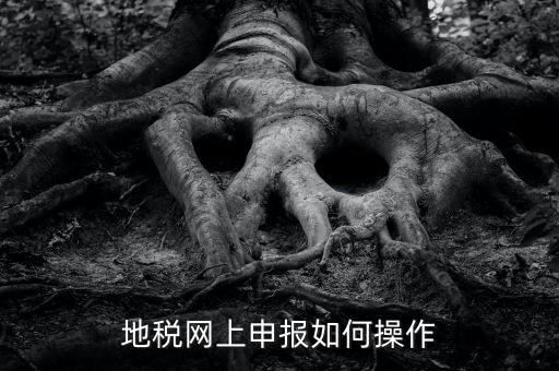 地稅網(wǎng)如何申報，地稅網(wǎng)上申報如何操作