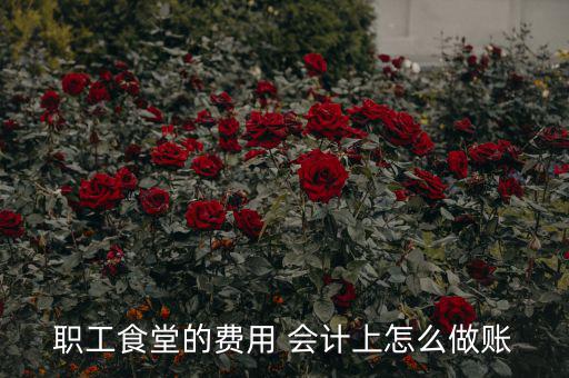 公司食堂費(fèi)用如何入賬，職工食堂費(fèi)用如何入賬