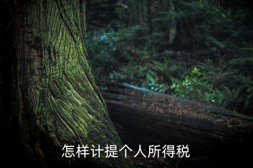 個人所得稅如何計提，如何計提個人所得稅