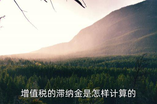 如何計(jì)算稅款的滯納金，稅款滯納金怎么算