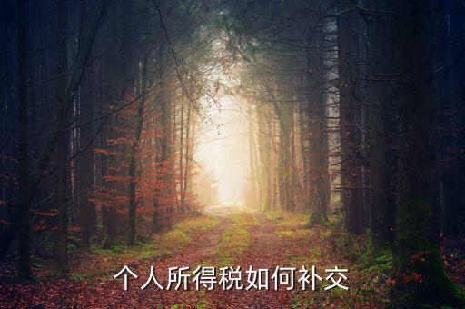 個稅如何補繳，個人所得稅如何補交