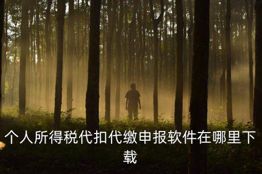 代扣代繳國稅如何申報(bào)系統(tǒng)下載，國稅增值稅小規(guī)模稅務(wù)電子申報(bào)軟件在哪里下載呢