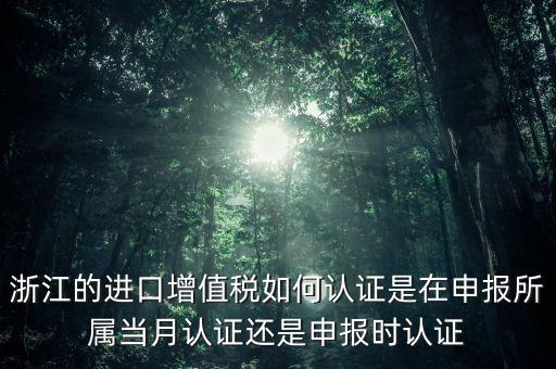 浙江國稅進(jìn)口發(fā)票如何認(rèn)證，浙江的進(jìn)口增值稅如何認(rèn)證是在申報所屬當(dāng)月認(rèn)證還是申報時認(rèn)證