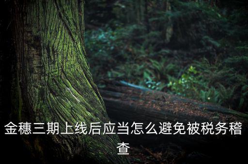 金稅三期如何防稽查，那如何預(yù)防稅局的稽查呢