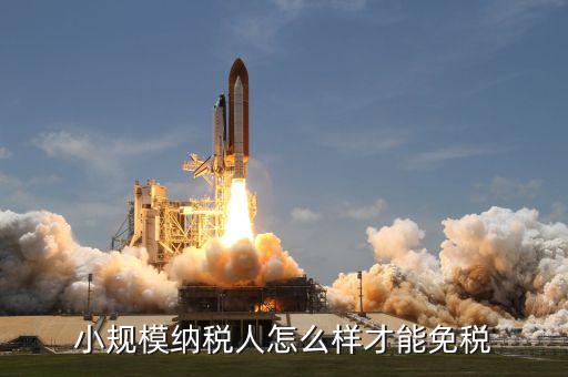 小規(guī)模納稅人如何避免增值稅，小規(guī)模怎么避增值稅呢